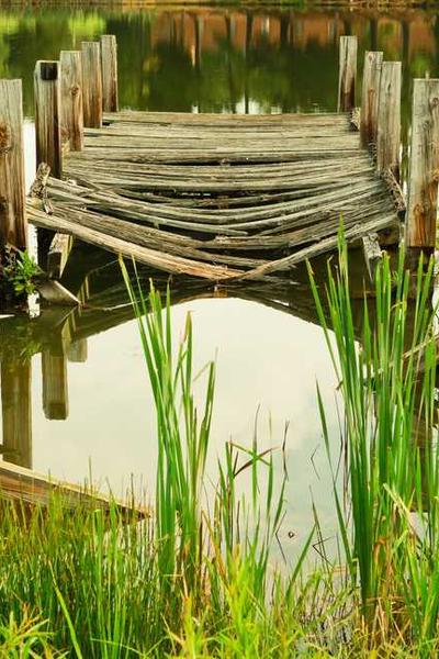 Phoenix Dancing in Nine Heavens